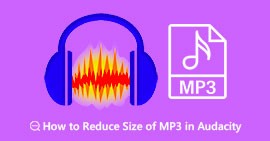 减小 MP3 Audacity 的大小