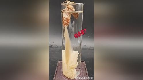 这给水里放的什么玩意？还吐白雾