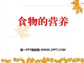 《食物的营养》生活中的食物PPT课件3