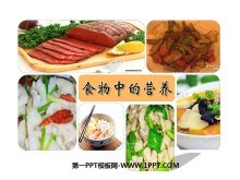 《食物的营养》食物PPT课件2