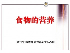 《食物的营养》生活中的食物PPT课件2