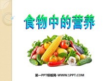 《食物的营养》食物PPT课件