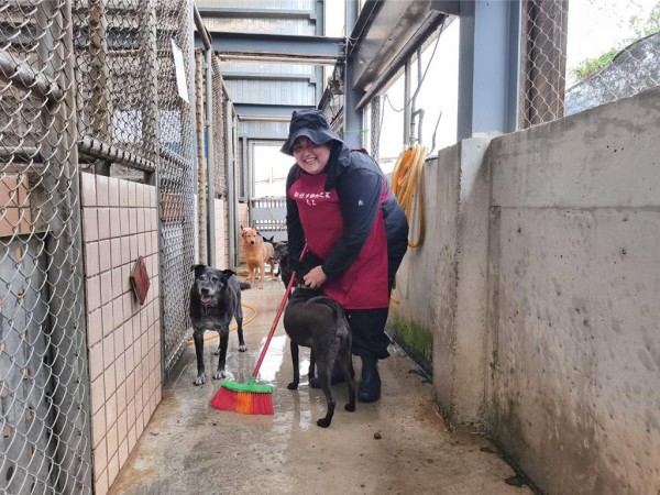 Ruth不嫌脏和辛苦打扫犬舍，让毛宝贝有乾净舒适的环境。（图／新北市动保处）