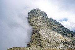 吊兰摆放风水关键，这5样东西绝对不能放在阳台上