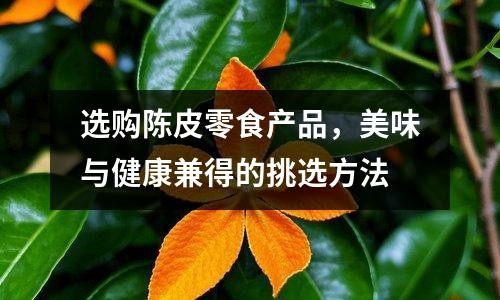 选购陈皮零食产品，美味与健康兼得的挑选方法