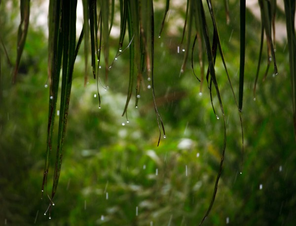close-up-water-drops-spider-web.jpg