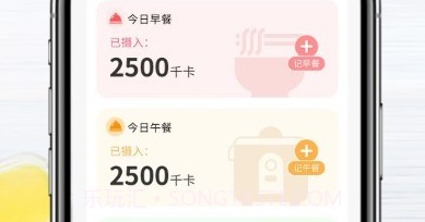 吃瘦计划v0.2.9截图