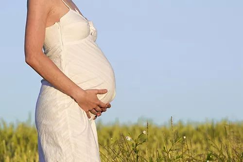 【孕妇补铁食谱】孕妇吃什么补铁_孕妇要怎么补铁