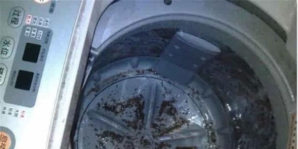 洗衣机清洁攻略（保持洗衣机的高效工作并延长使用寿命）
