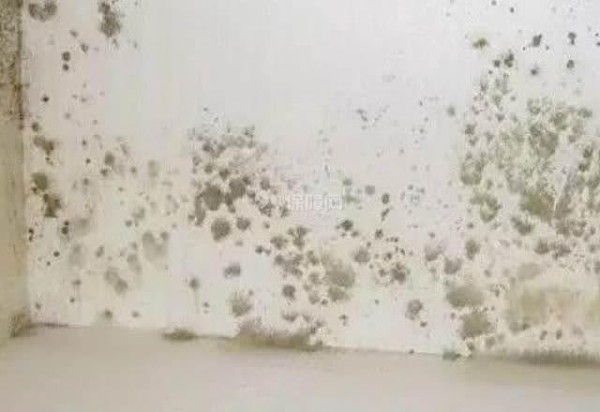 墙面脏了怎么办
