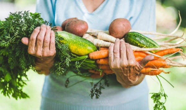 素食饮食如何改变2025年7月的老年人的健康和生活质量