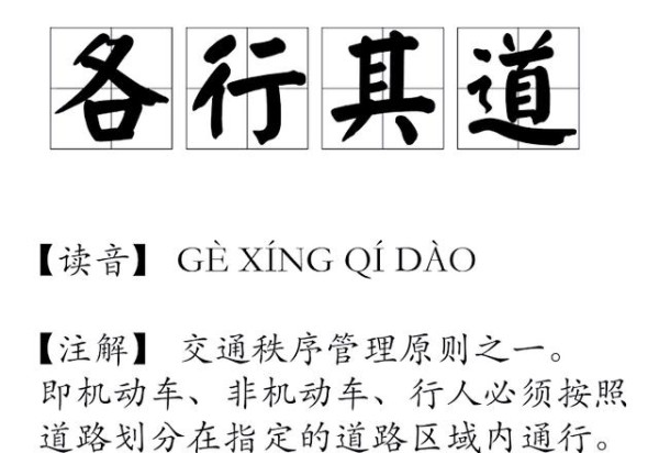 确保行车安全：非机动车驾驶指南-有驾
