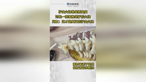 这才是真正的驴肉火烧