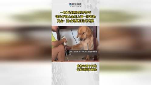 老戏骨了