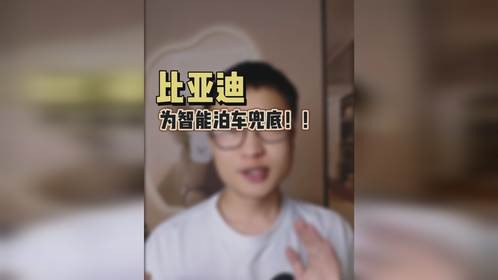 比亚迪为智能泊车兜底