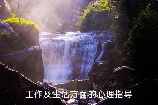 工作及生活方面的心理指导