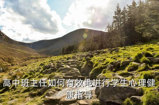 高中班主任如何有效地进行学生心理健康指导