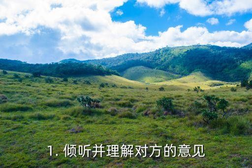 1. 倾听并理解对方的意见