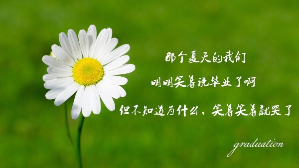 拖把如何换拖把头
