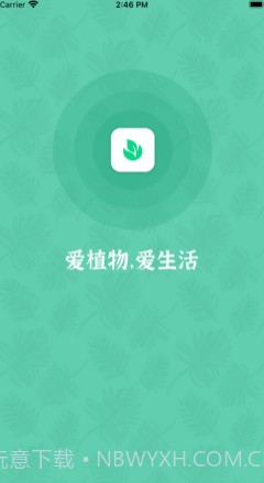 口袋绿植v1.12截图