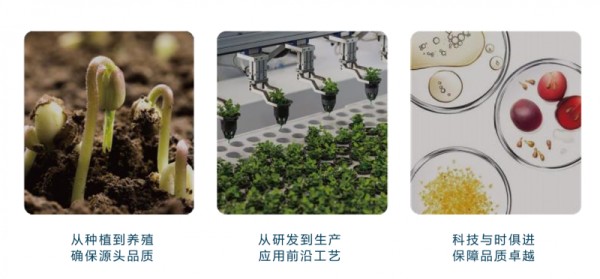 品小二：从初创萌芽到银发健康行业标杆的奋进之路
