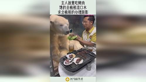 主人故意吃烤肉，馋的北极熊流口水，求北极熊的心理阴影！