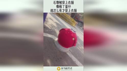 石墩被穿上衣服，像极了蛋仔，谁这么有才穿上衣服！