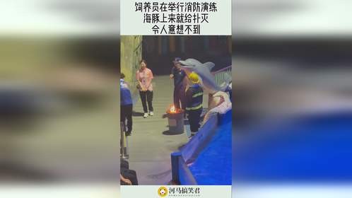 饲养员在举行消防演练，海豚上来就给扑灭，令人意想不到！