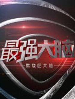 最强大脑之燃烧吧大脑第2季