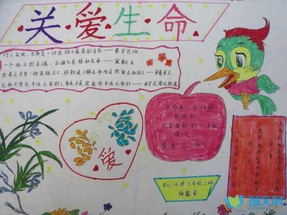 有关关爱生命的手抄报欣赏