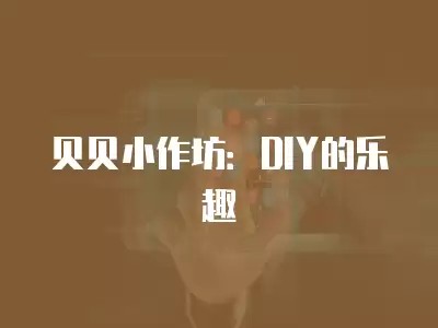贝贝小作坊:DIY的乐趣