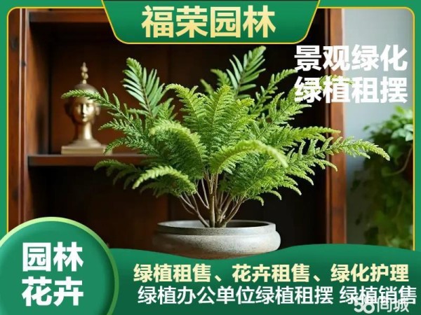 深圳企业绿植租摆,花卉批发,绿植租售,花卉租摆,园