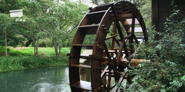 wheel of life