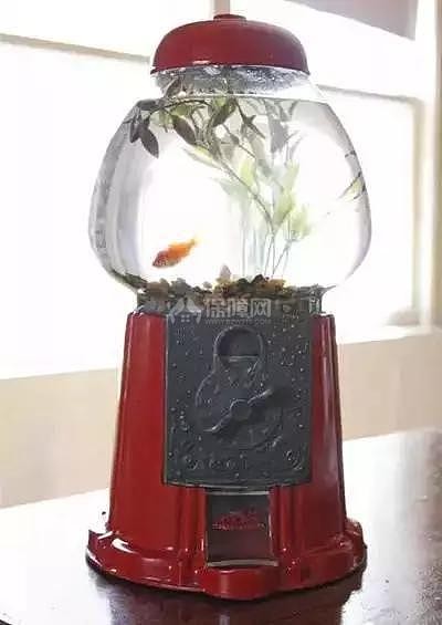 家居DIY:旧玩具别再仍了 DIY创意个性家居饰品