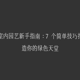 室内园艺新手指南：7个简单技巧打造你的绿色天堂
