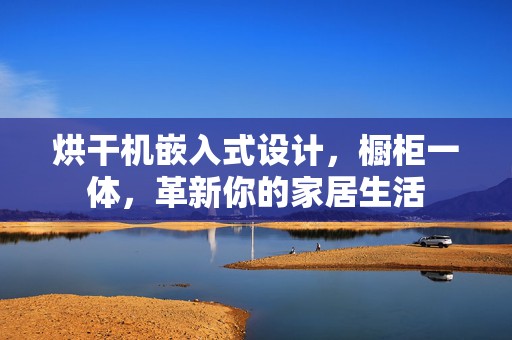 烘干机嵌入式设计，橱柜一体，革新你的家居生活