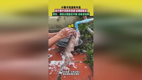 小猴子洗澡有多乖，清洗过程温柔仔细