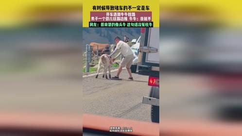 开车遇到牛牛挡路，男子推牛，网友：犟的像头牛