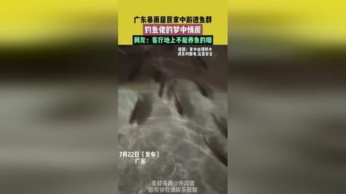 广东暴雨居民家中游进鱼群，网友：客厅地上不能养鱼的哦