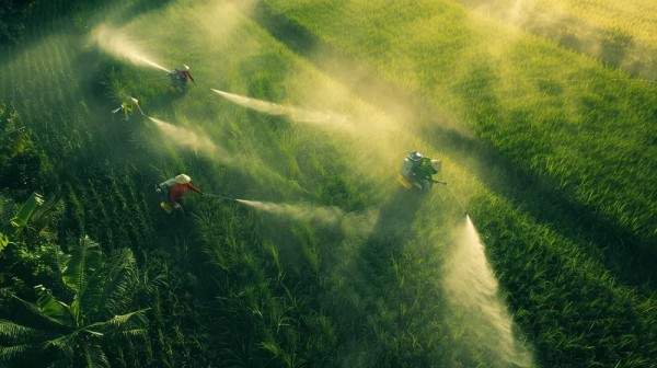 稻瘟病肆虐咋办？三招选对农药+省钱30%秘籍