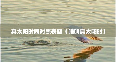 真太阳时间对照表图（啥叫真太阳时）