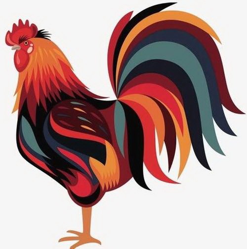 属鸡与属兔的夫妻：和谐共处的秘诀与生活指南