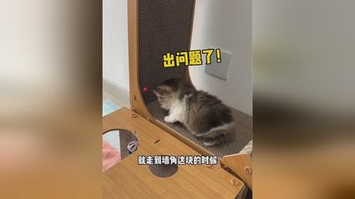烤鱼片眼神不好的原因找到了！