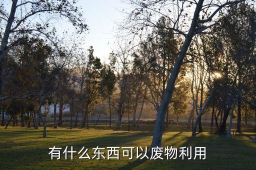 有什么东西可以废物利用