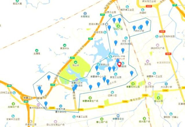 东莞巴士推出随需公交：便捷出行新选择-有驾