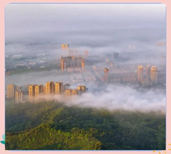 龙泉驿地铁网络规划：便捷出行新时代-有驾