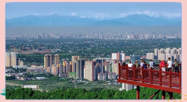 龙泉驿地铁网络规划：便捷出行新时代-有驾