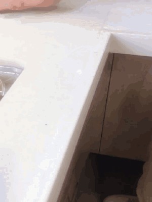 d-_20190413141440.gif!ori