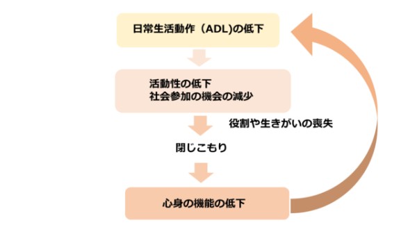 図1:ADL低下による日常生活への影響をしめす図。ADL低下は閉じこもりがちとなり、心身機能低下を及ぼすことを示す