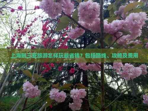上海到三亚旅游怎样玩最省钱？包括路线、攻略及费用
